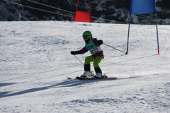 IMG_2362 (1280x853)