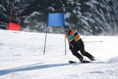 IMG_2378 (1280x853)