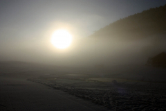 IMG_1530 (1280x853)