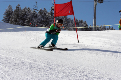 IMG_2102 (1280x853)